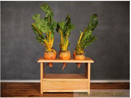 害怕圣誕節沒創意?看看發燒友們怎么過圣誕