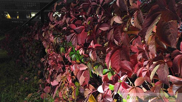 業(yè)界良心 LG V10 評(píng)測(cè):剛毅、冷峻，不失人性化