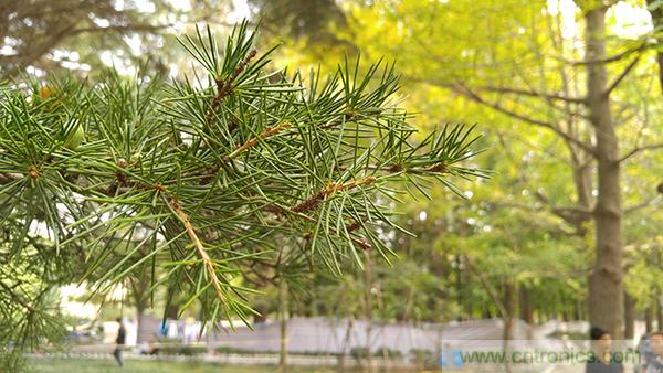 業(yè)界良心 LG V10 評(píng)測(cè):剛毅、冷峻，不失人性化