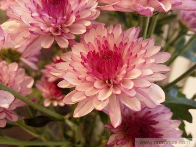 Hi-Fi革命!vivo X6 Plus深度評測:夠快才暢快