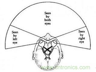 雙目重疊技術在VR中有什么作用？