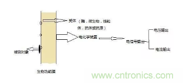 仿生傳感器的定義、原理、分類及應用