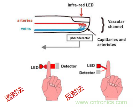 從光學模塊到系統構建來解決,如何實現光學體征信號監測? 從光學模塊到系統構建來解決,如何實現光學體征信號監測?