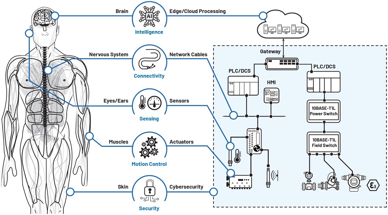 數(shù)字工廠成為現(xiàn)實(shí):通過(guò)數(shù)字化轉(zhuǎn)型走向成功 數(shù)字工廠成為現(xiàn)實(shí):通過(guò)數(shù)字化轉(zhuǎn)型走向成功