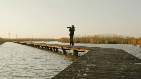 世界濕地日:海康威視攜手一個地球自然基金會,在上海守護這個重要“驛站” 世界濕地日:海康威視攜手一個地球自然基金會,在上海守護這個重要“驛站”