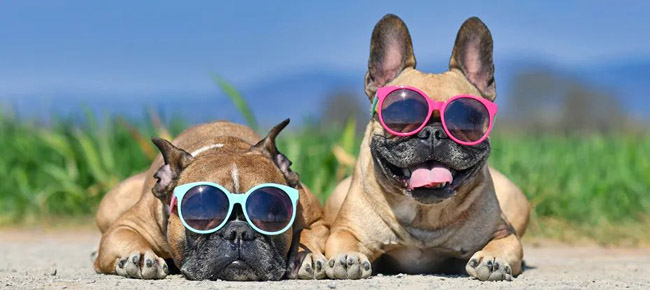 利用先進的電源管理技術滿足5G通信和數據中心應用需求 利用先進的電源管理技術滿足5G通信和數據中心應用需求