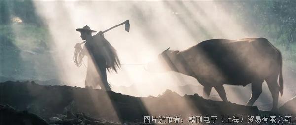 智慧農業大有可為,“數字種地”更輕松 智慧農業大有可為,“數字種地”更輕松